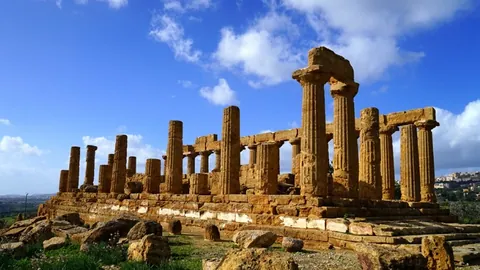 “三农发展关键在‘三增’，改革助力破局之道”