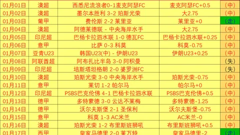 伊万难忘泰山中场李源一，力助国足中场崛起